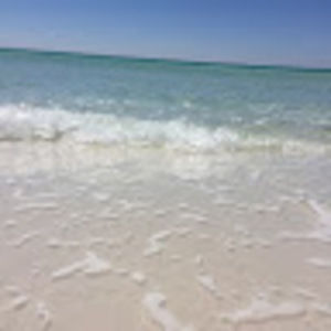 Meet your Posher, Alice